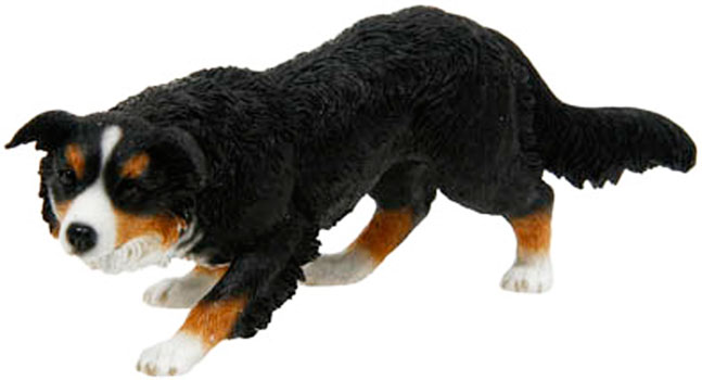 Border Collie Crawling Tri Colour