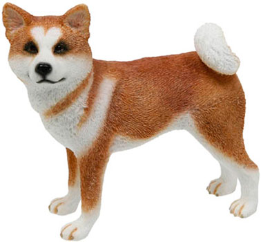 Akita