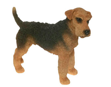 Airedale Terrier