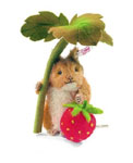 Steiff Timmy Willie