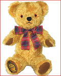 Birthday Bear