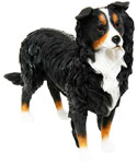 Rough Collie Standing