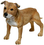 Staffordshire Terrier Tan