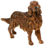 Irish Red Setter