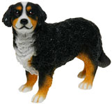 Bernese Mountain Dog