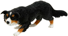 Border Collie Crawling Tri Colour
