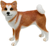 Akita