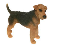 Airedale Terrier