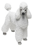 Poodle White