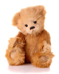 Charlie Bears Robbie