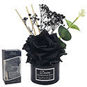Rose Diffuser Sandalwood and Birch Small