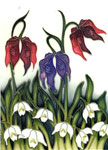 Moorcroft Cards Alpine Meadow