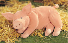 Arnold The Snoring Pig