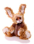 Charlie Bears Cotton Sox