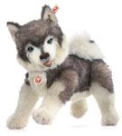 Steiff Husky Bobby