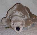 Tayaout - Herman Speilwarren Bear