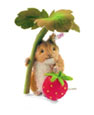 Steiff Timmy Willie