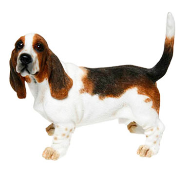 Basset