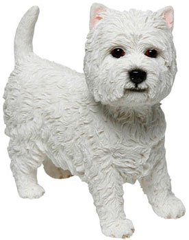 West Highland White Terriers