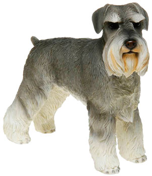 Schnauzer