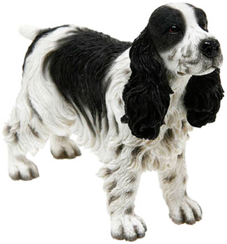 Cocker Spaniel Black