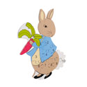 Peter Rabbit Number Puzzle