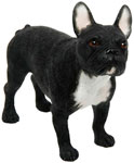 French Bulldog Dark