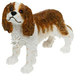 King Charles Spaniel