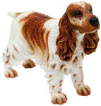 Cocker Spaniel Brown