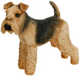 Lakeland Terrier