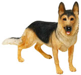 German Shepherd Dog